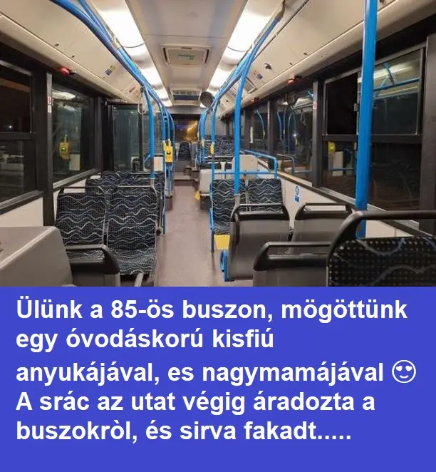 85osbusz316234 n