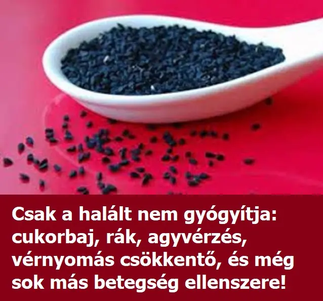katicavirag56h