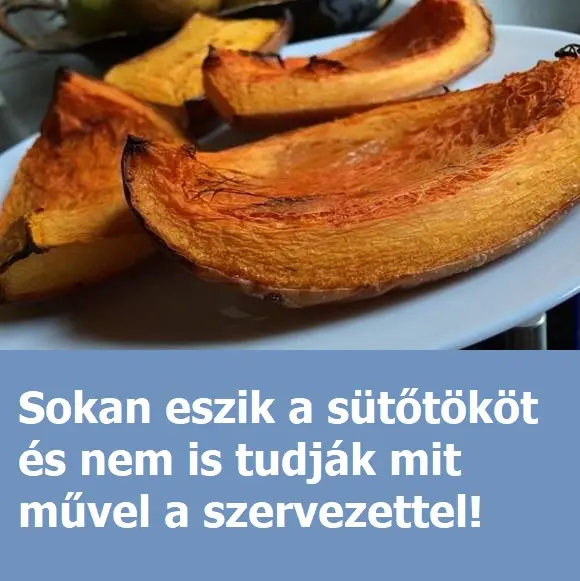 sutotok89