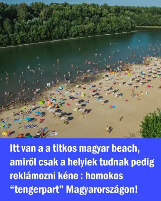homokstrand 4494533 n