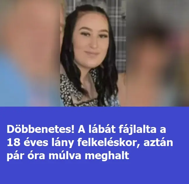 lanylabafajt324