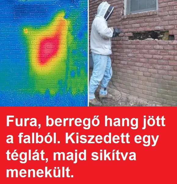 fhgfdh3