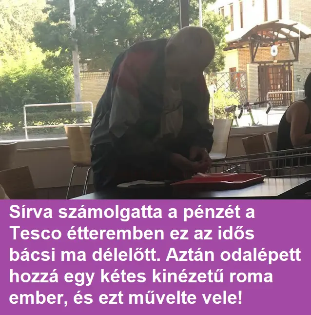 bacsitescobant 10