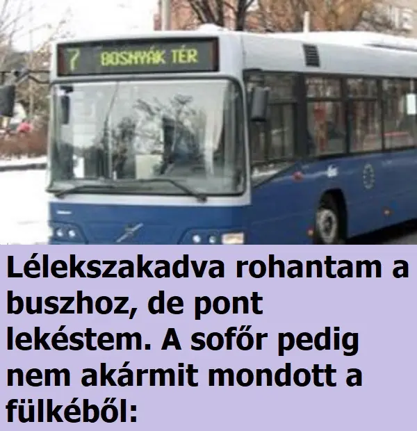 busz 5 2018