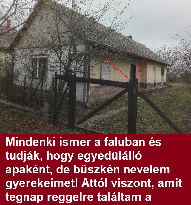 egyedulapahaz000